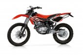 2010 Beta RR Enduro 4T 125 photo